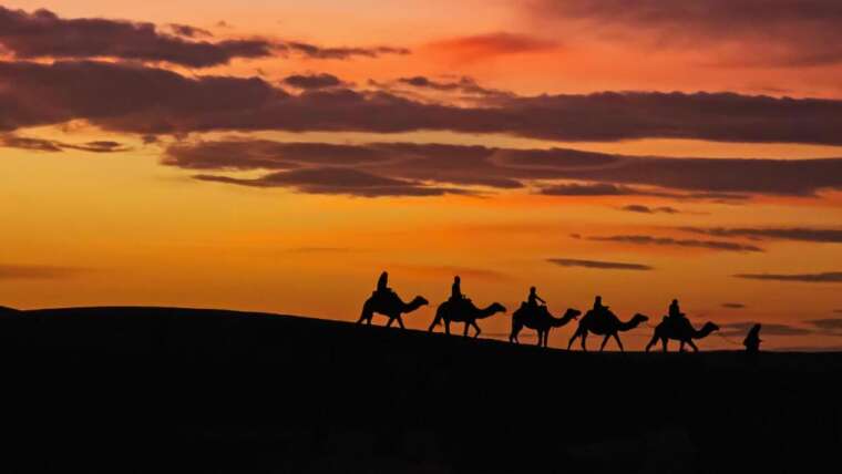 Au Cœur du Désert : La Vie Mystique et Fascinante des Touaregs