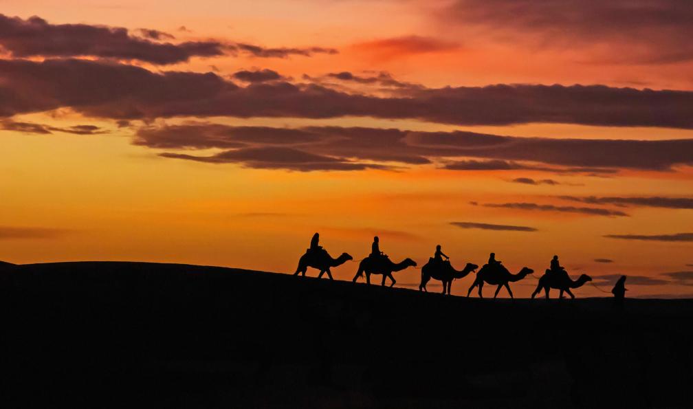 Au Cœur du Désert : La Vie Mystique et Fascinante des Touaregs